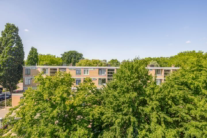 Foto 10 van Hortensialaan 21