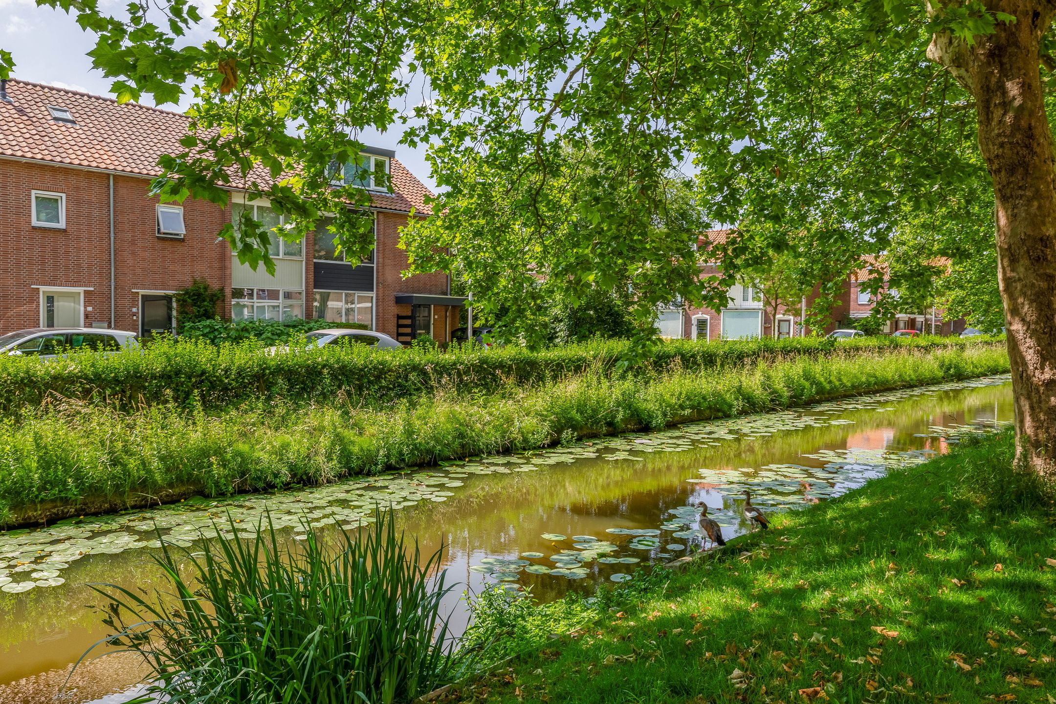 Foto 24 van Hortensialaan 21