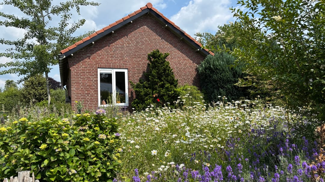 Foto 31 van Pastoor van Houtstraat 12