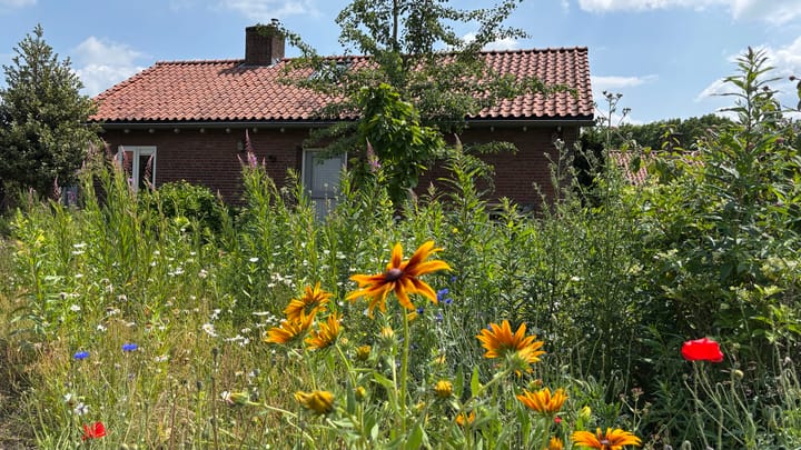 Photo 34 of Pastoor van Houtstraat 12