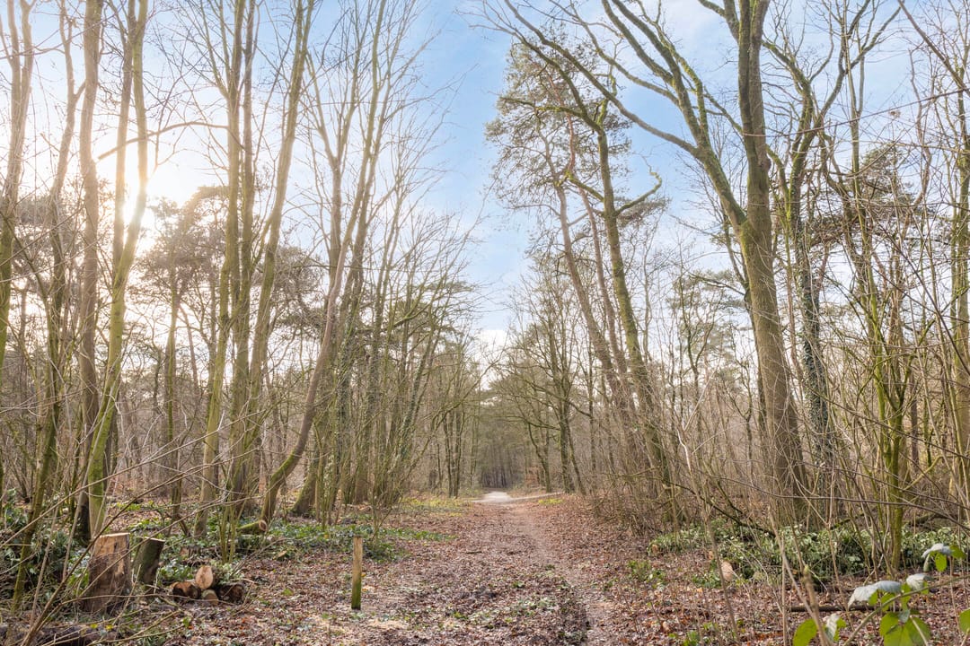 Foto 38 van Pastoor van Houtstraat 12