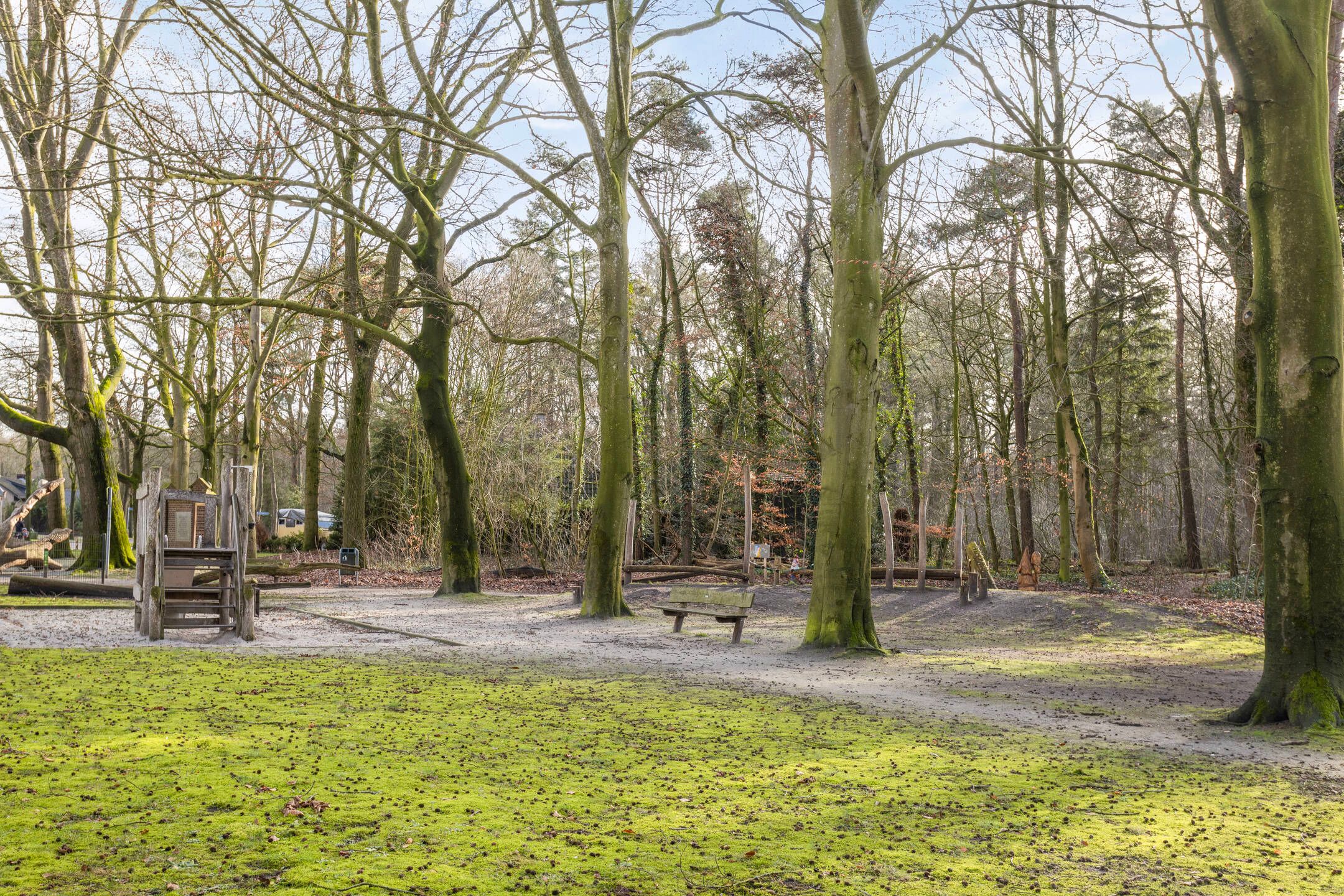 Foto 39 van Pastoor van Houtstraat 12