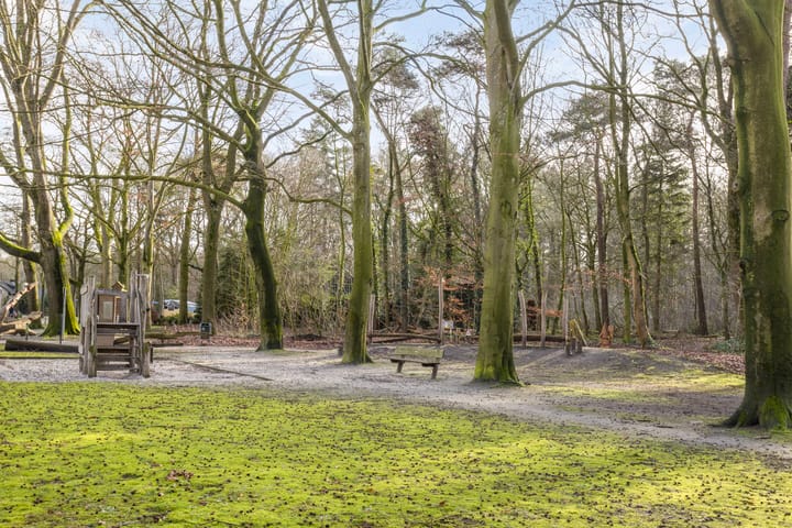 Photo 39 of Pastoor van Houtstraat 12