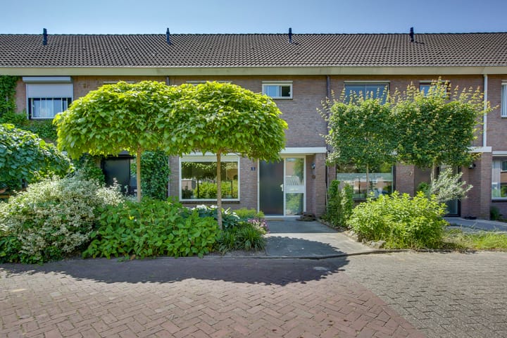 Foto 2 van Gentiaan 5