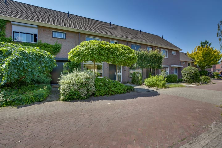 Foto 3 van Gentiaan 5