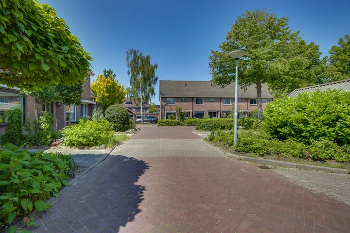 Foto 32 van Gentiaan 5