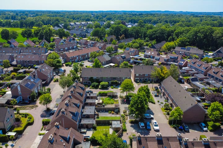 Foto 34 van Gentiaan 5