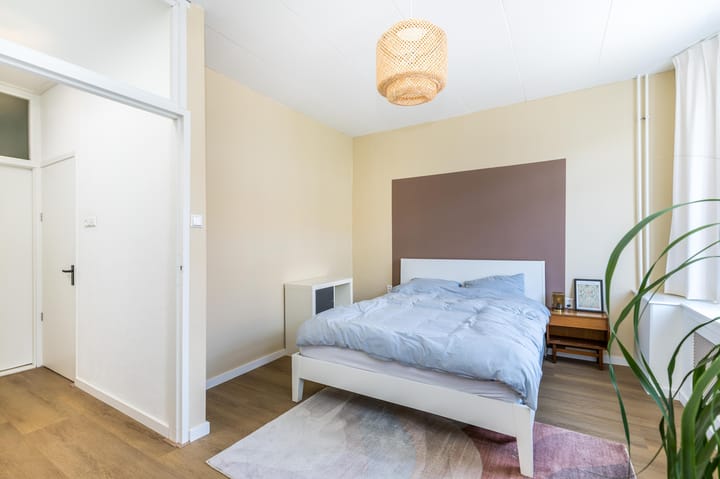 Foto 42 van Paulus Potterstraat 30