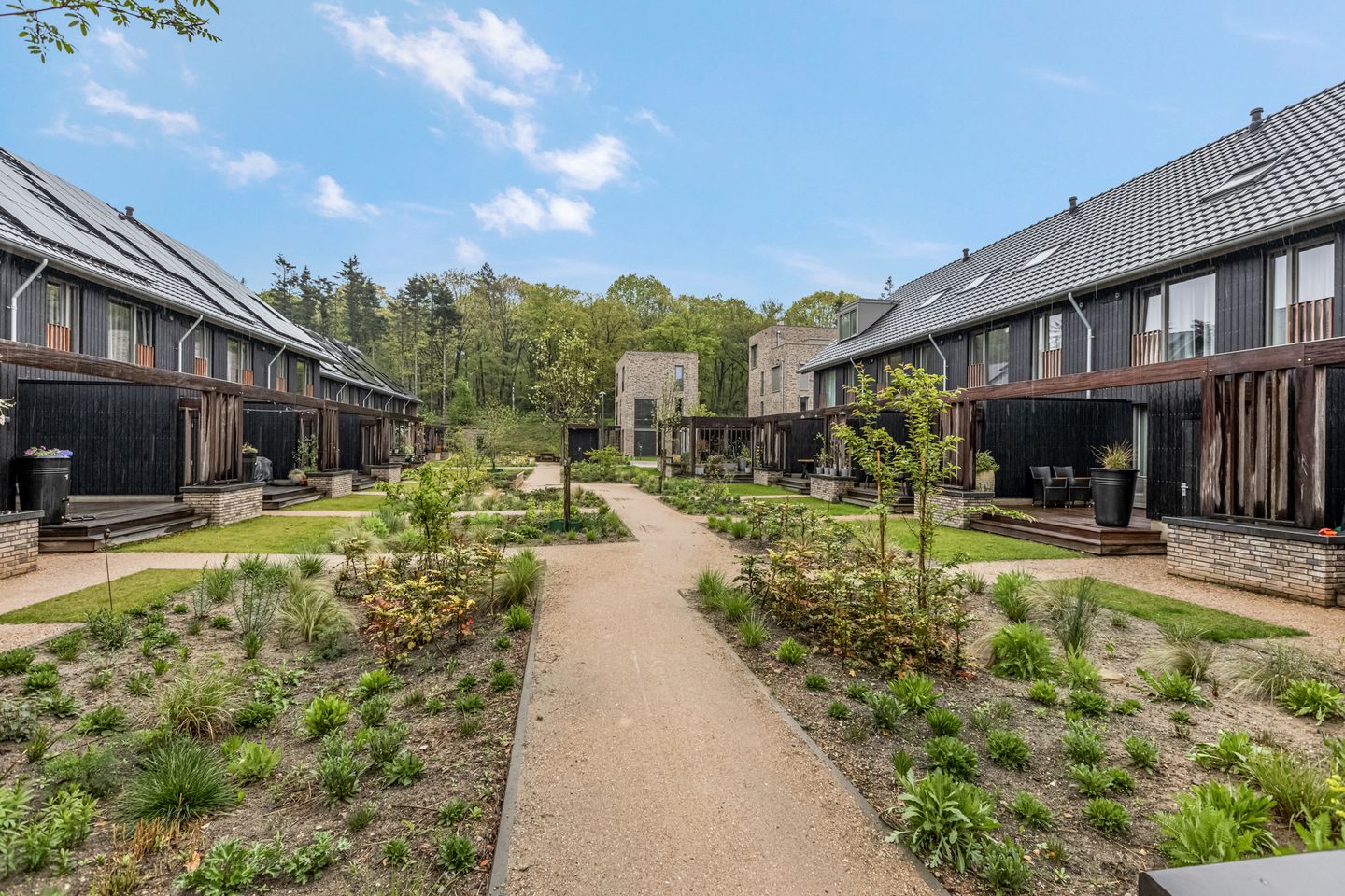 Foto 44 van Bosbeshof 30