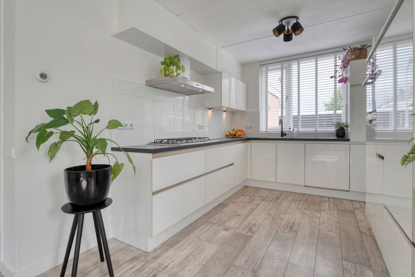 Foto 19 van Zwaluw 35