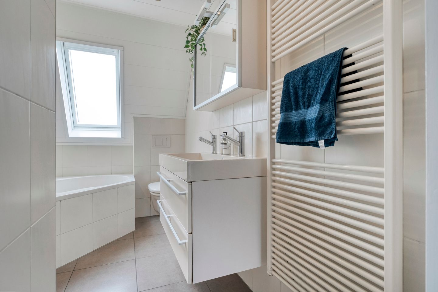 Foto 35 van Zwaluw 35