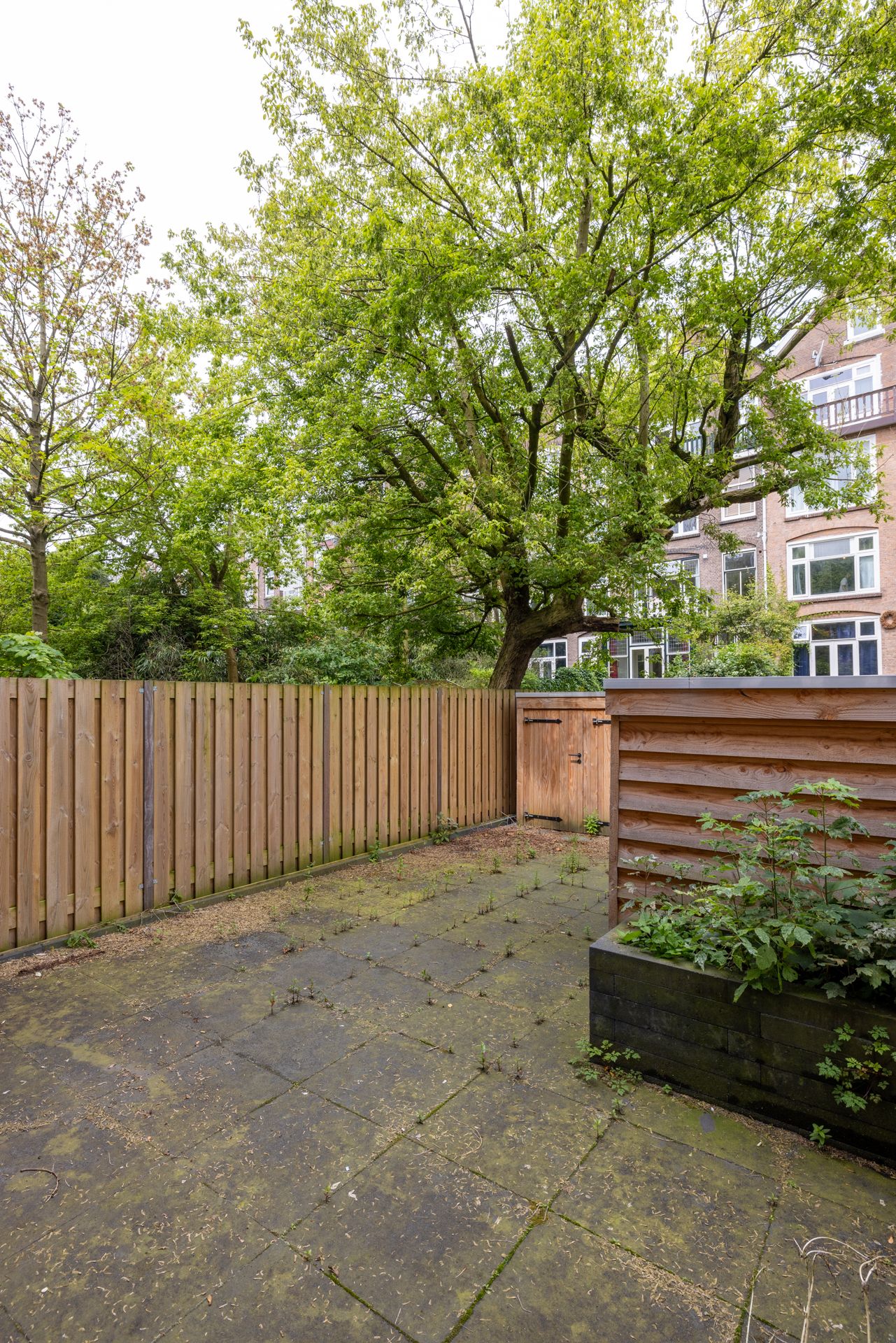 Foto 33 van Beatrijsstraat 19-C