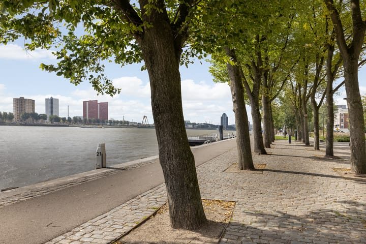 Foto 30 van Vasteland 239