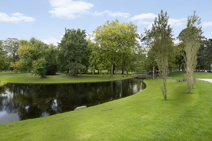 Foto 31 van Vasteland 239