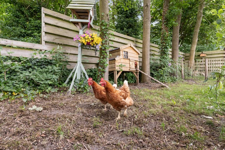 Foto 37 van Verbindingsweg 13