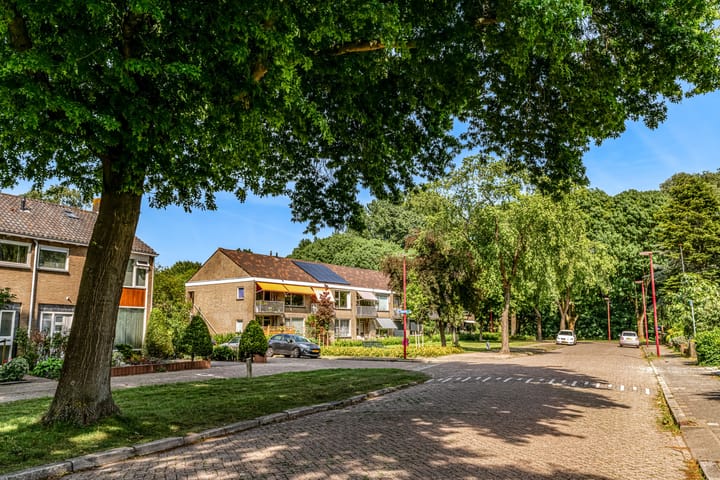 Foto 42 van Prinsessenweg 25