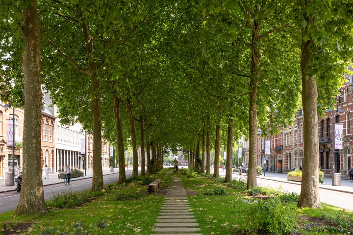 Foto 44 van Koninginnenlaan 33