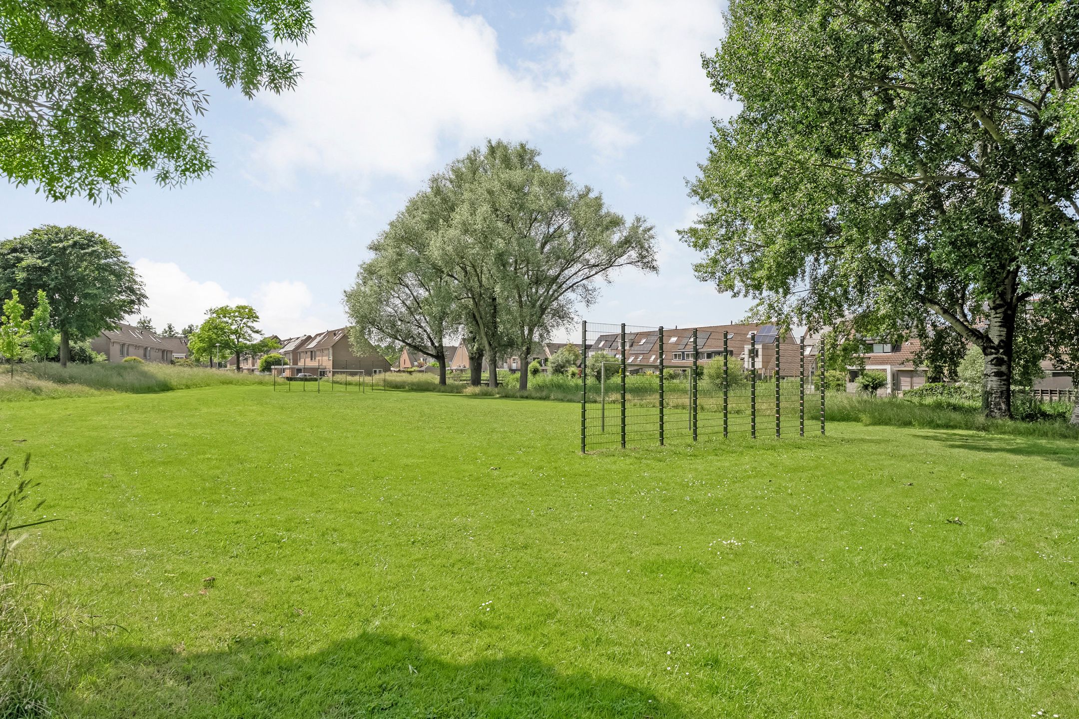 Photo 30 of Van Limburg Stirumware 43