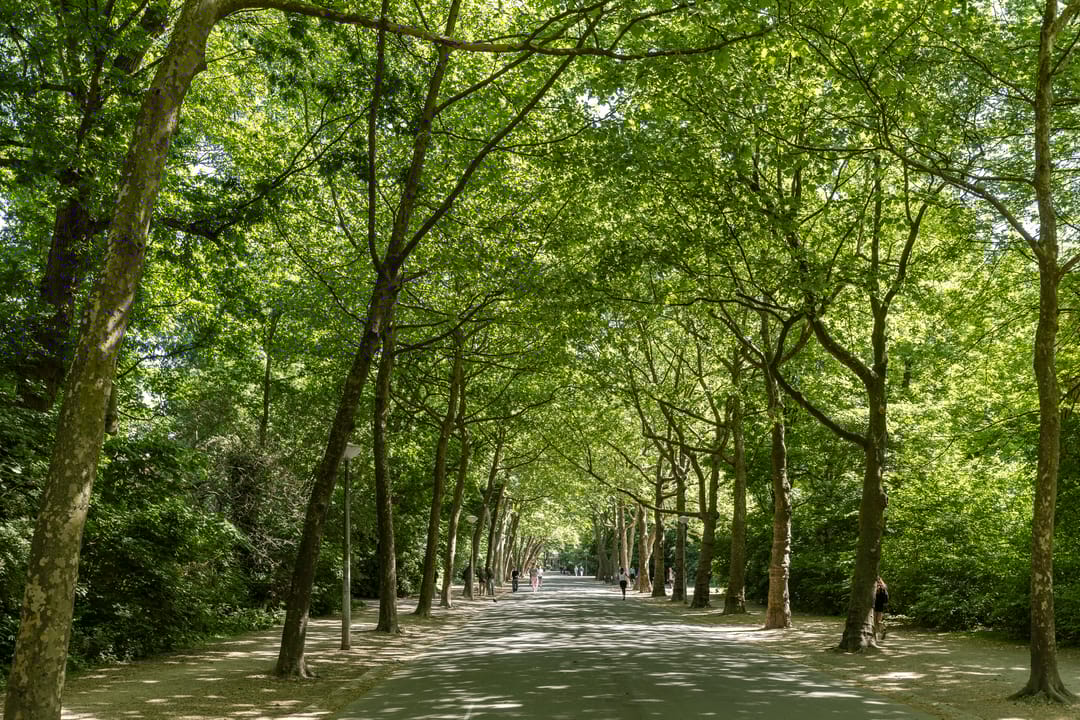 Foto 22 van Overtoom 347-1