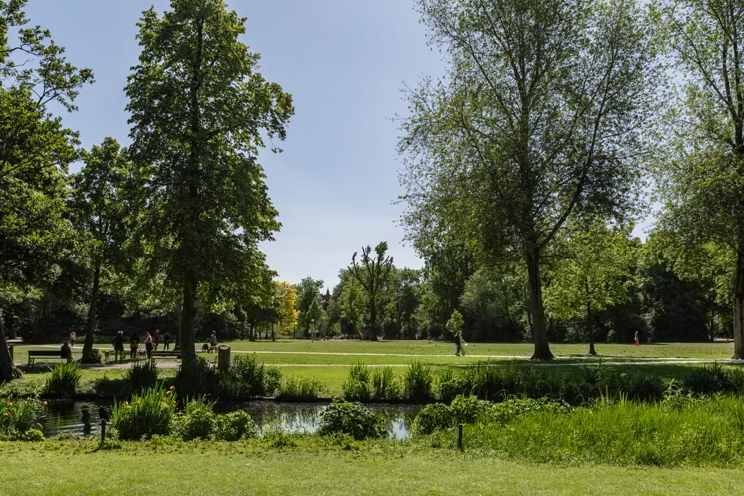 Foto 23 van Overtoom 347-1