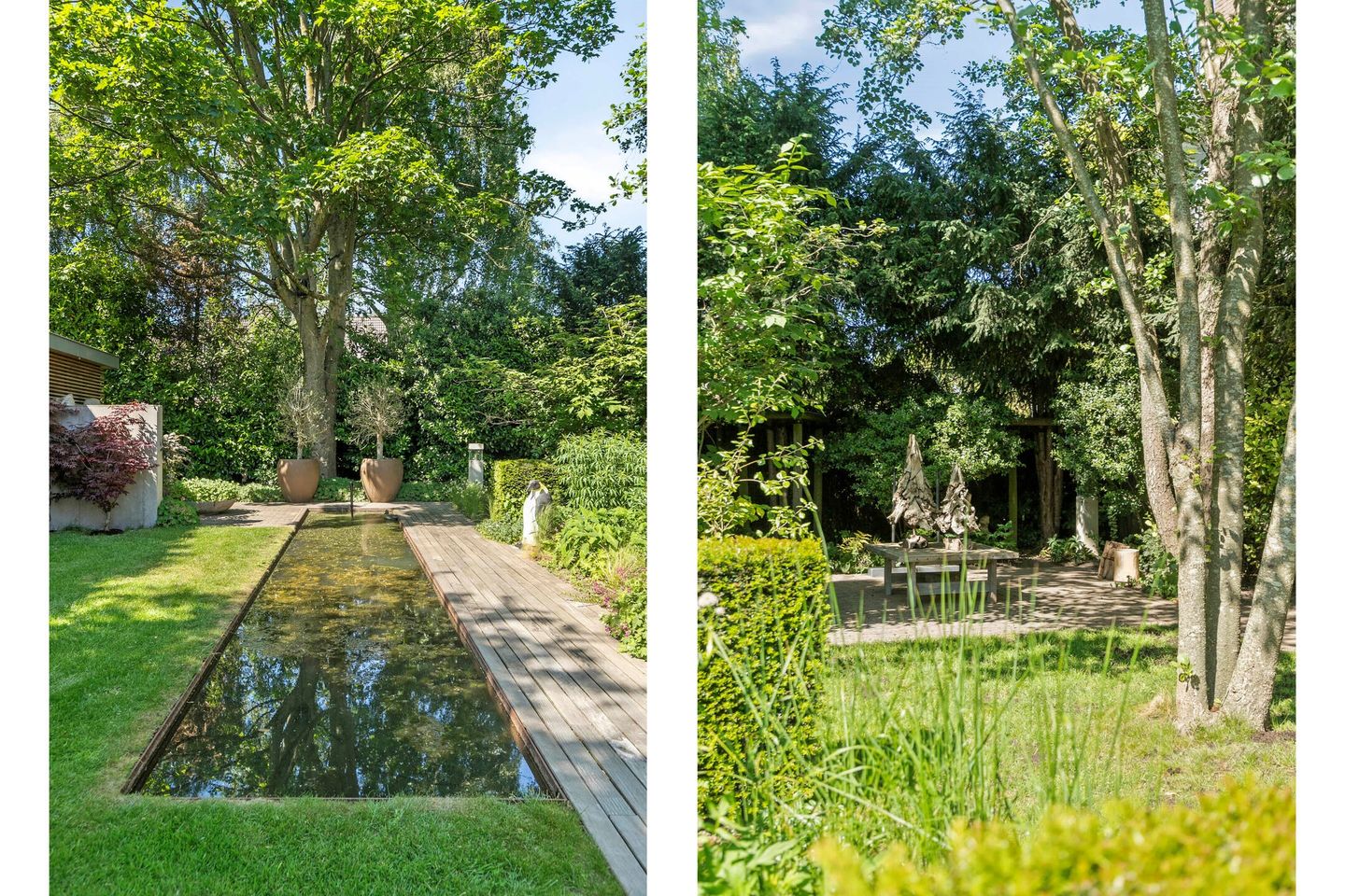 Foto 65 van Lavendelhof 12