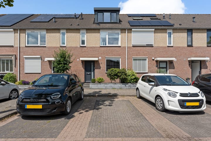 undefined main image