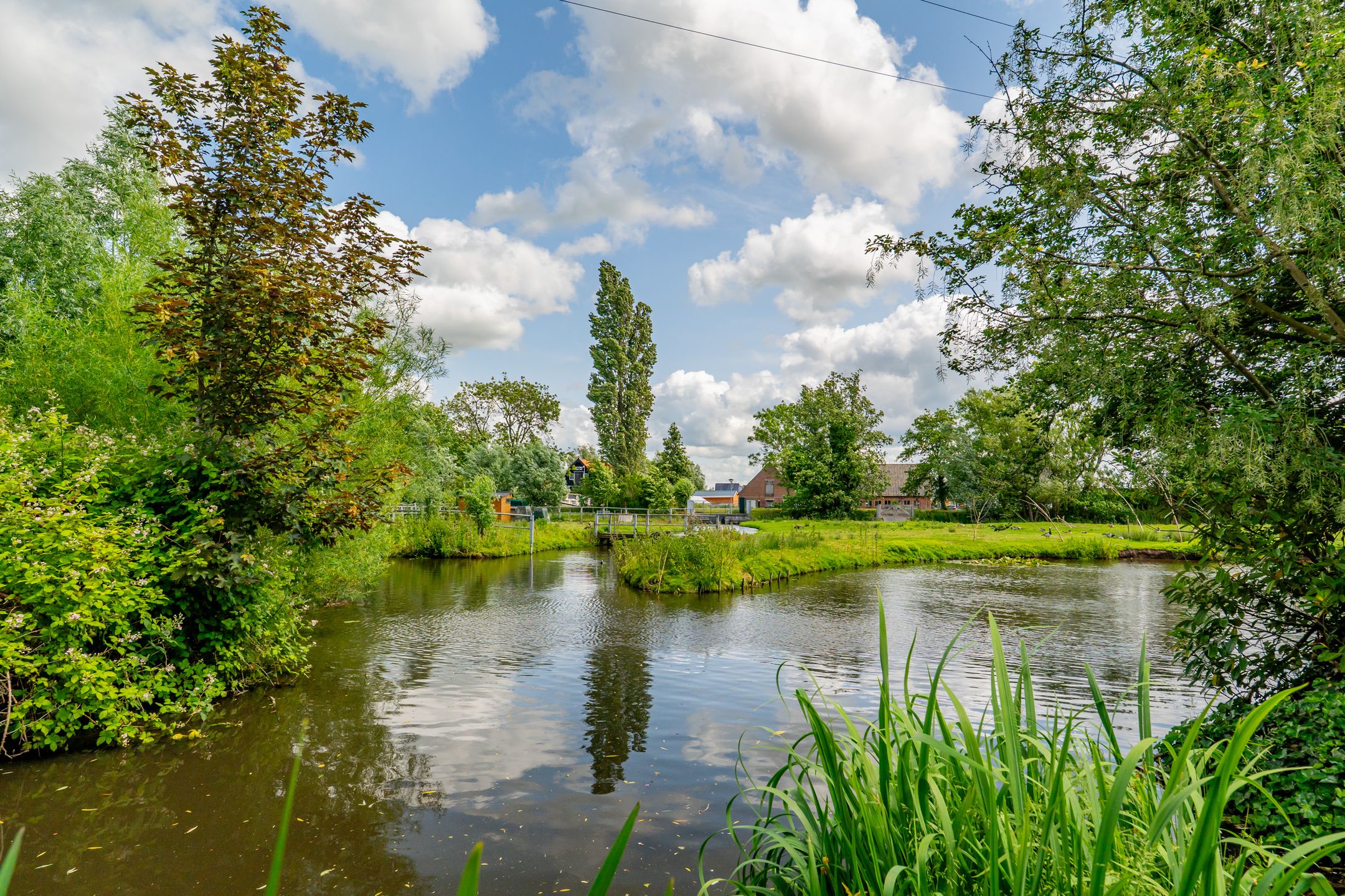 Foto 45 van Guus Reitsmahof 11