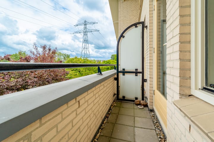 Foto 52 van Guus Reitsmahof 11