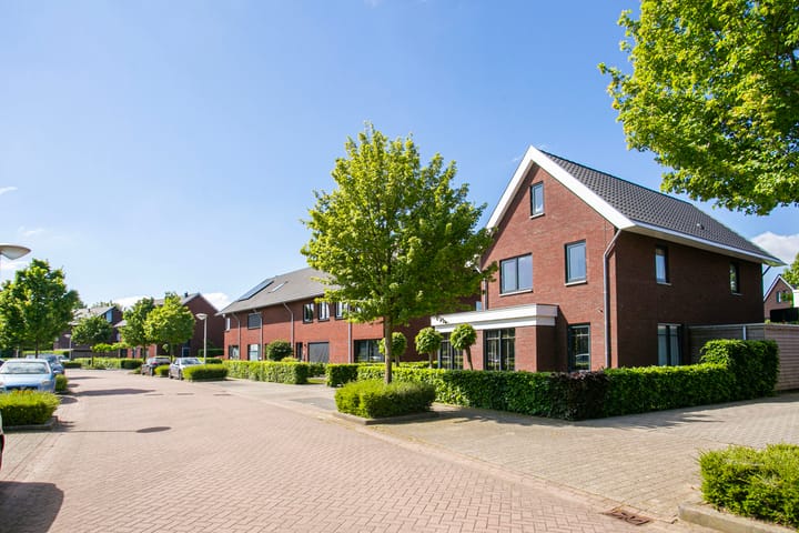 Foto 34 van Black Alicante 132