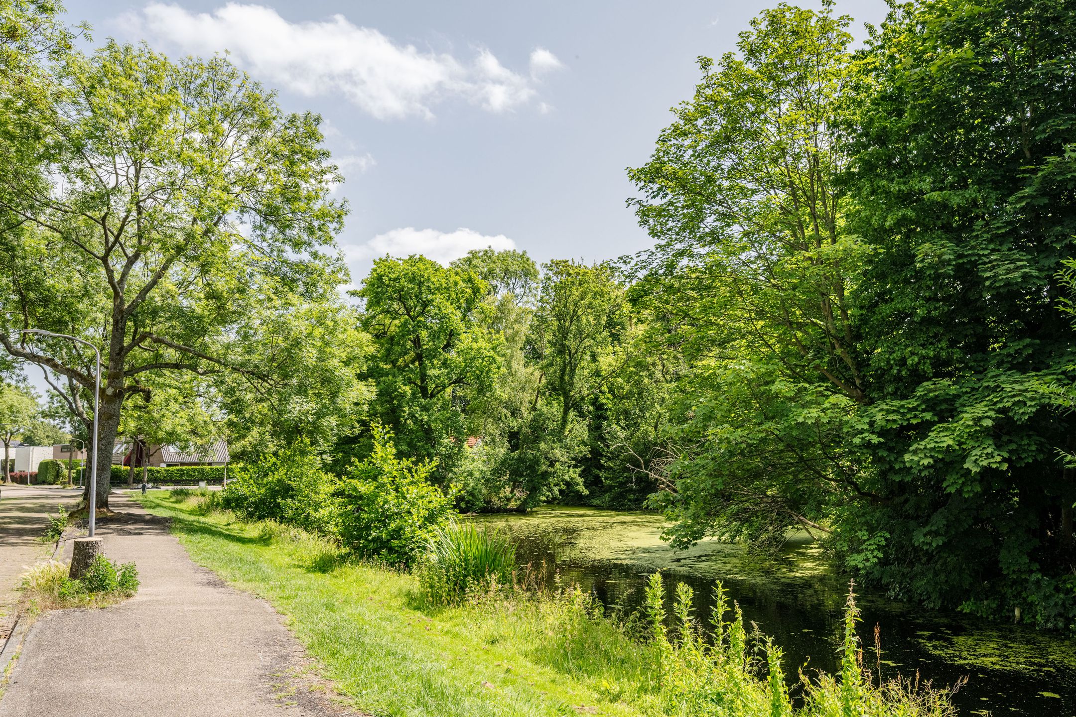 Foto 54 van Frederik Hendriklaan 4