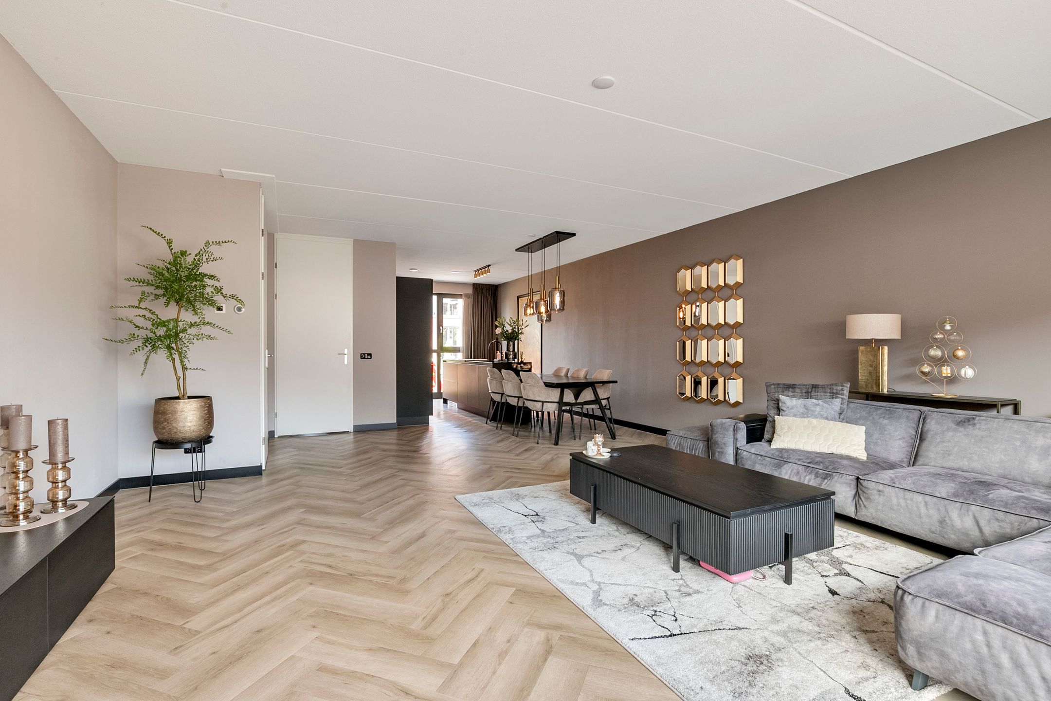 Photo 12 of Titanium 4