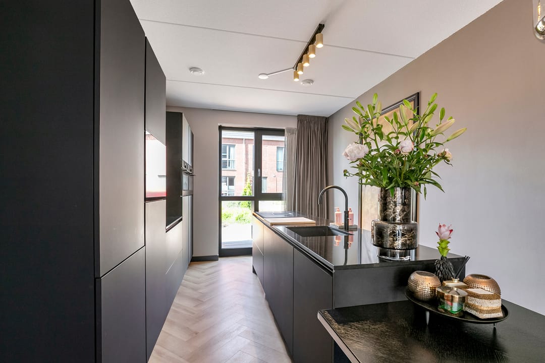 Photo 16 of Titanium 4