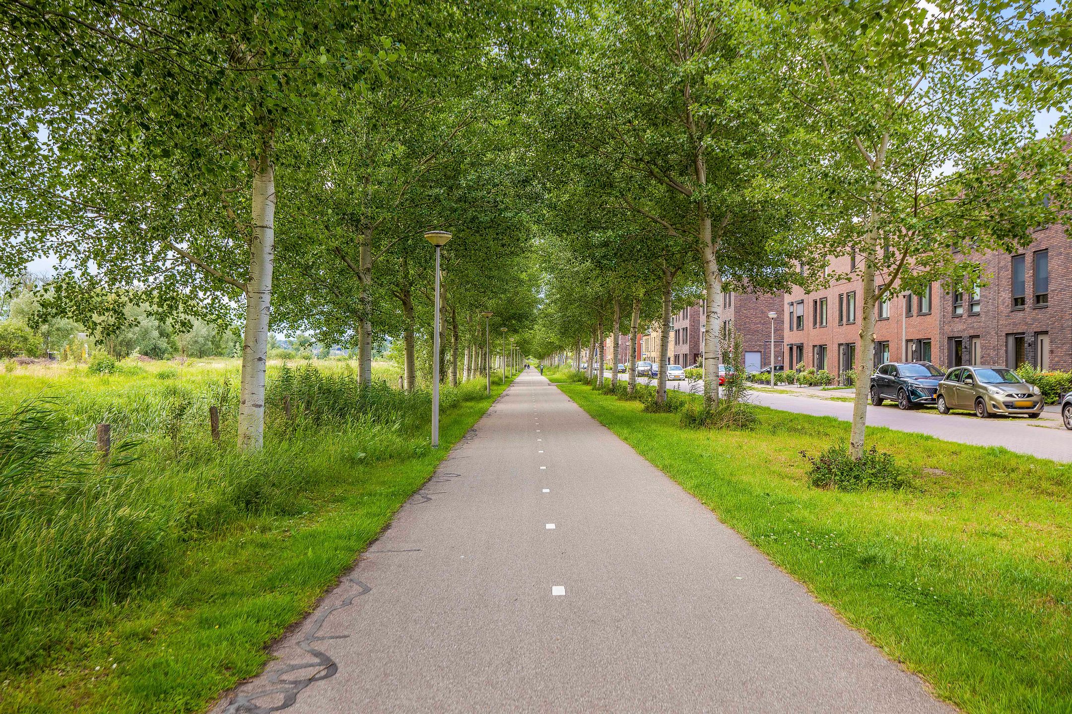 Photo 48 of Titanium 4