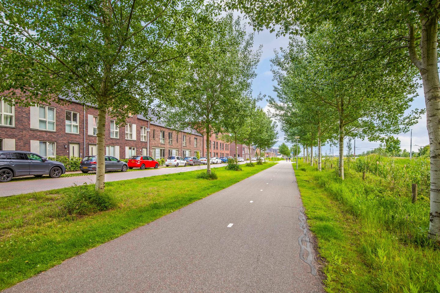 Photo 49 of Titanium 4