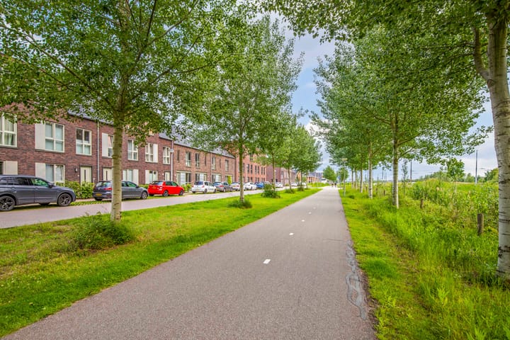 Foto 49 van Titanium 4