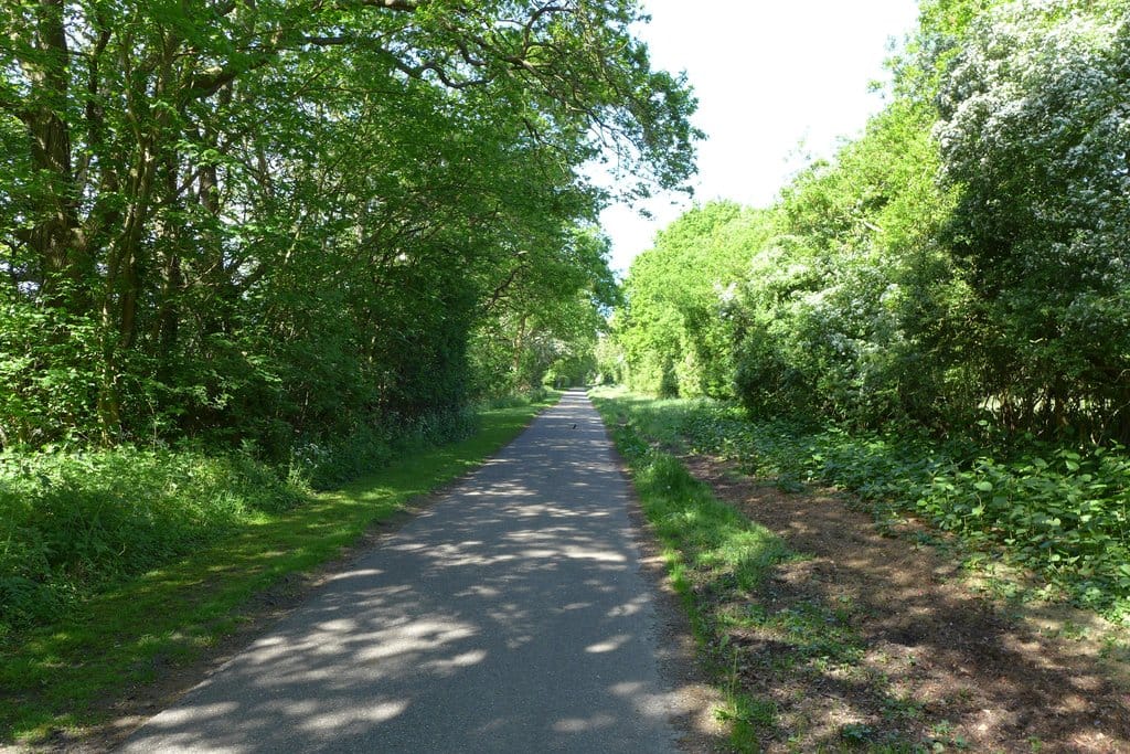 Foto 51 van Lijsterbeslaan 10