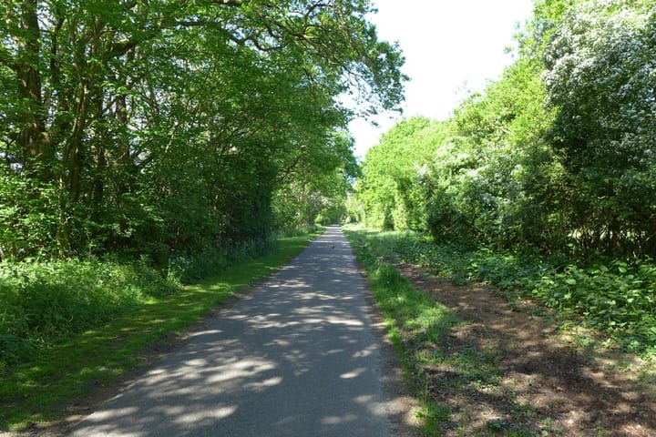 Foto 51 van Lijsterbeslaan 10