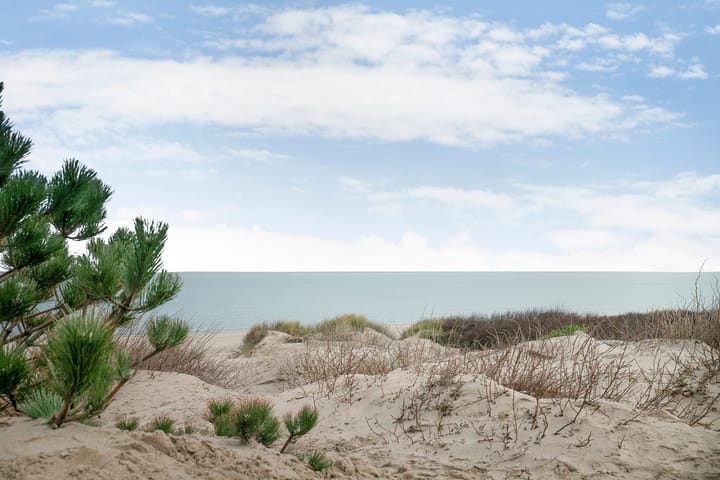 Foto 54 van Lijsterbeslaan 10