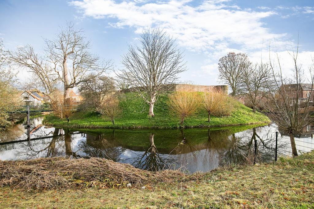 Foto 48 van Lijsterbeslaan 10