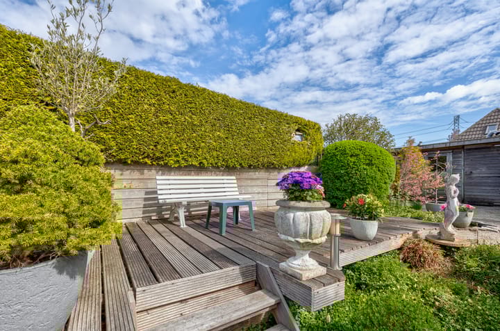 Foto 15 van Pascaltuin 14