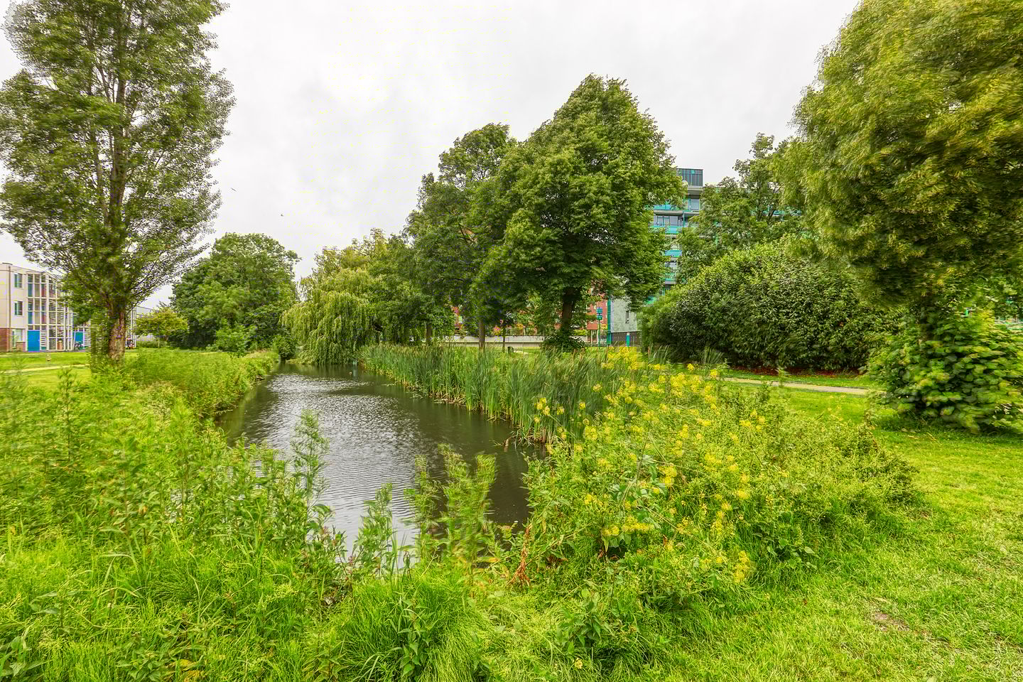 Foto 4 van Dennenschans 27