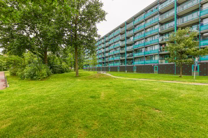 Foto 36 van Dennenschans 27