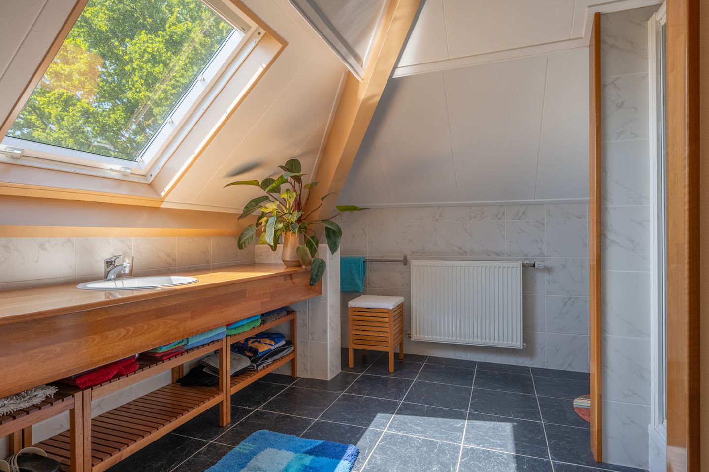 Foto 25 van Boerveenschemond 1