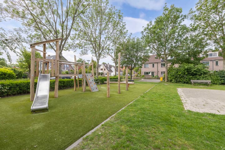 Foto 7 van Speerdistel 12