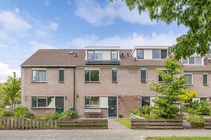 Foto 4 van Speerdistel 12