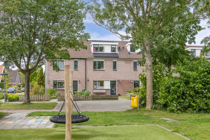 Foto 3 van Speerdistel 12