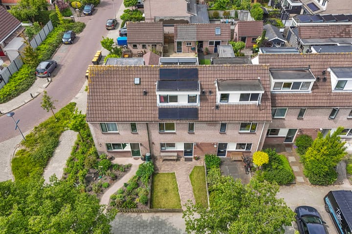 Foto 8 van Speerdistel 12