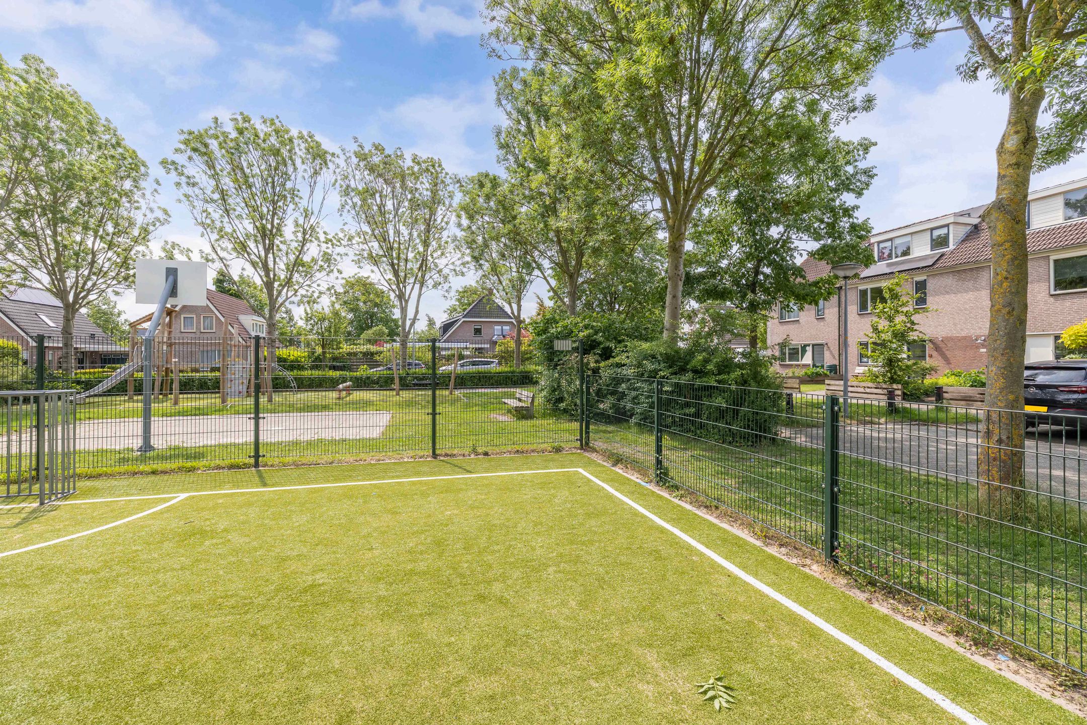 Foto 6 van Speerdistel 12