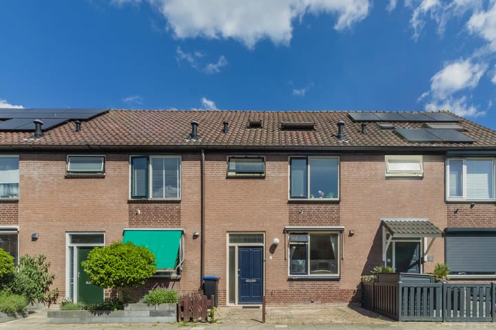 undefined main image