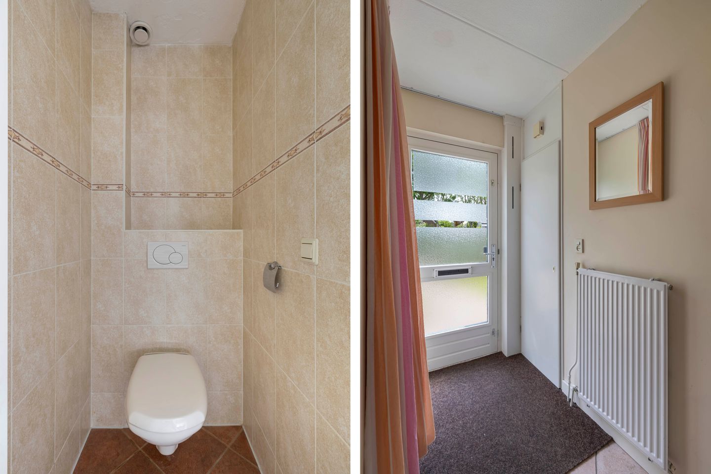 Foto 10 van Speerdistel 12